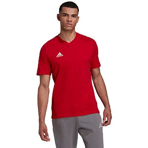 Adidas Entrada shirt
