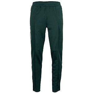 The IM Jaipur performance pant
